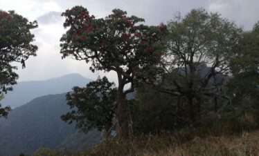 Day Hike to Nagarjun Hill
