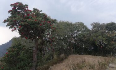 Day Hike to Shivapuri