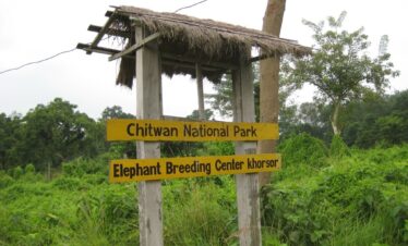 Jungle Safari Tour to Chitwan National Park
