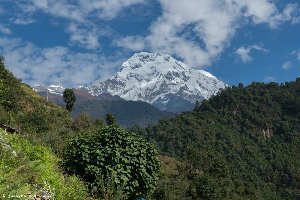 Annapurna 2019-1041